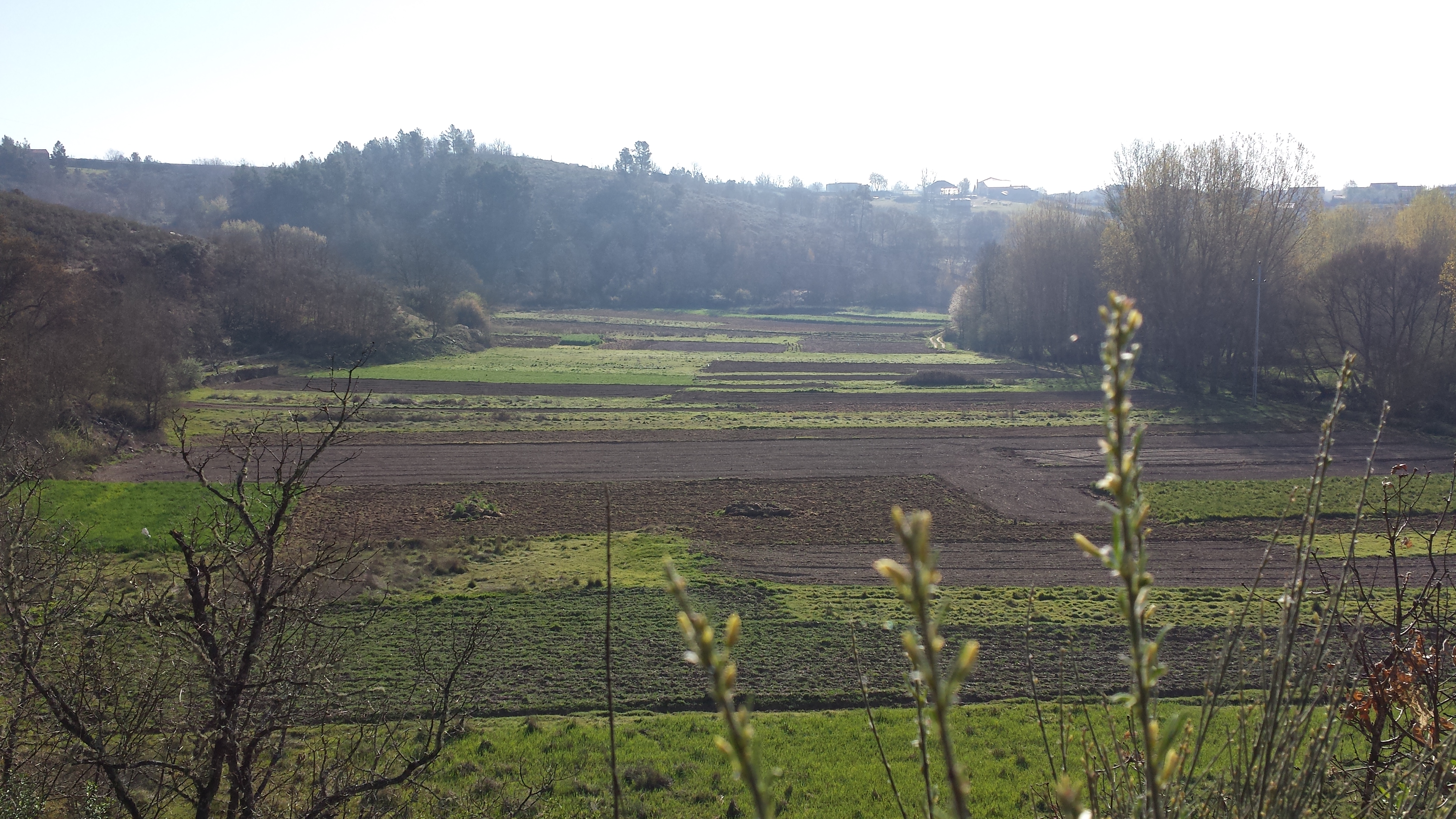 Angueira-abr 2017-Faceira-bista detrás de la fraga de San Biteiro3