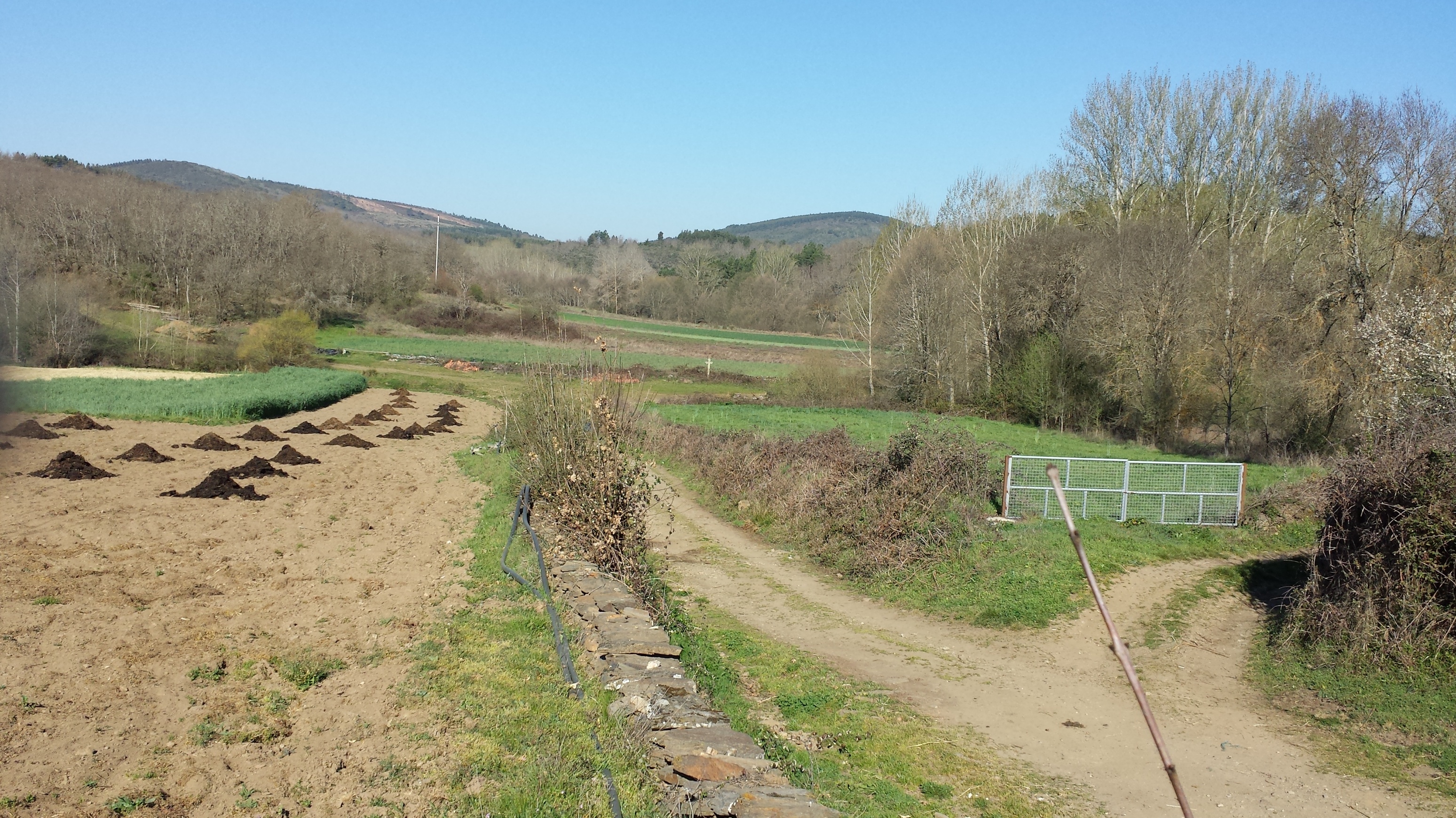 Huorta de l tiu Cereijas ne ls Puntones