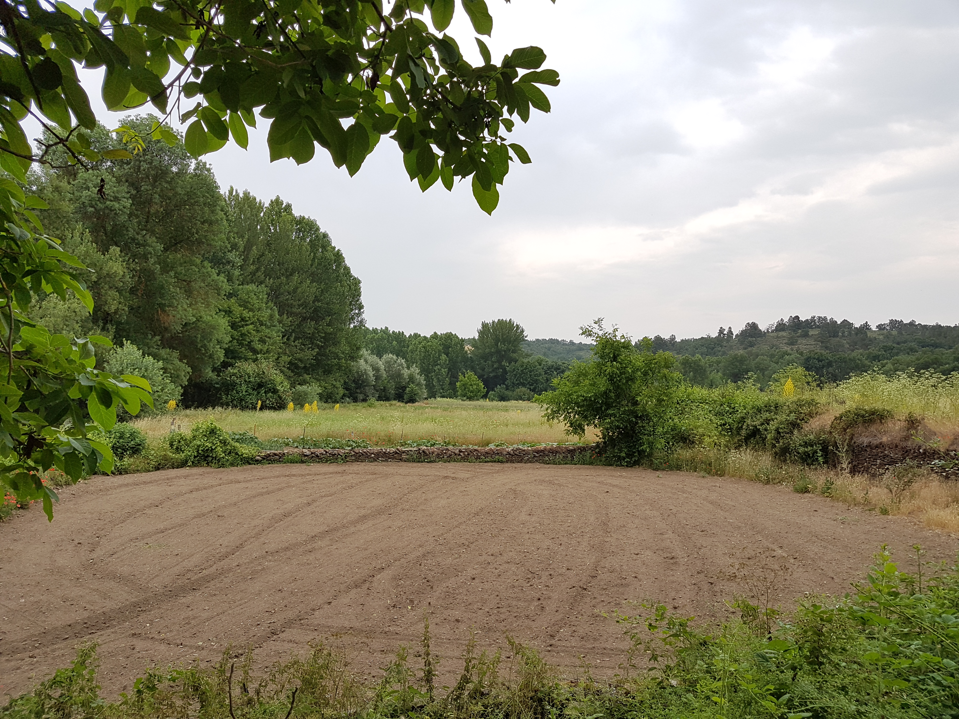 Huortas l fondo de la Mediana