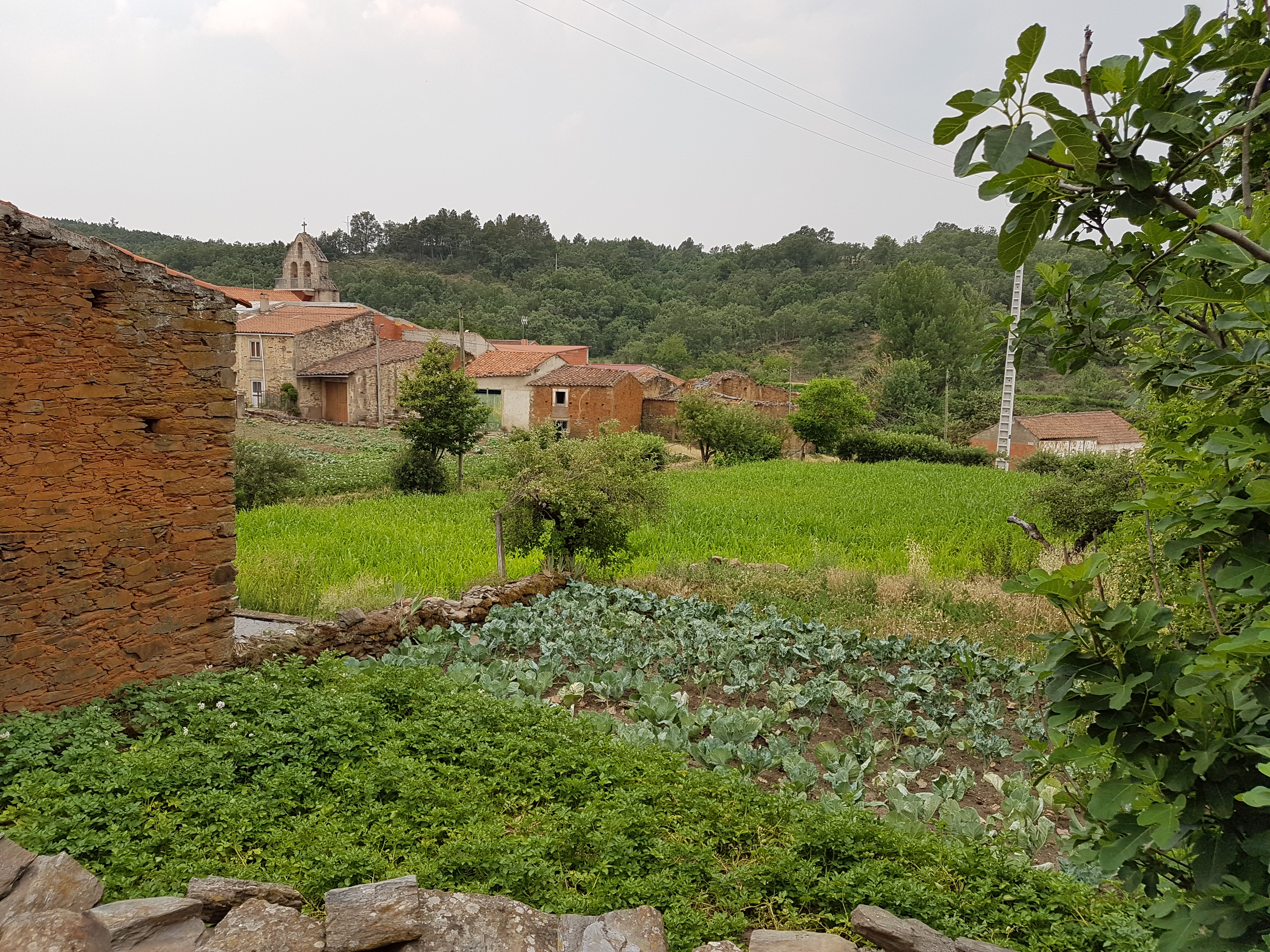 Huorto de ls Capadores ne l Cachon