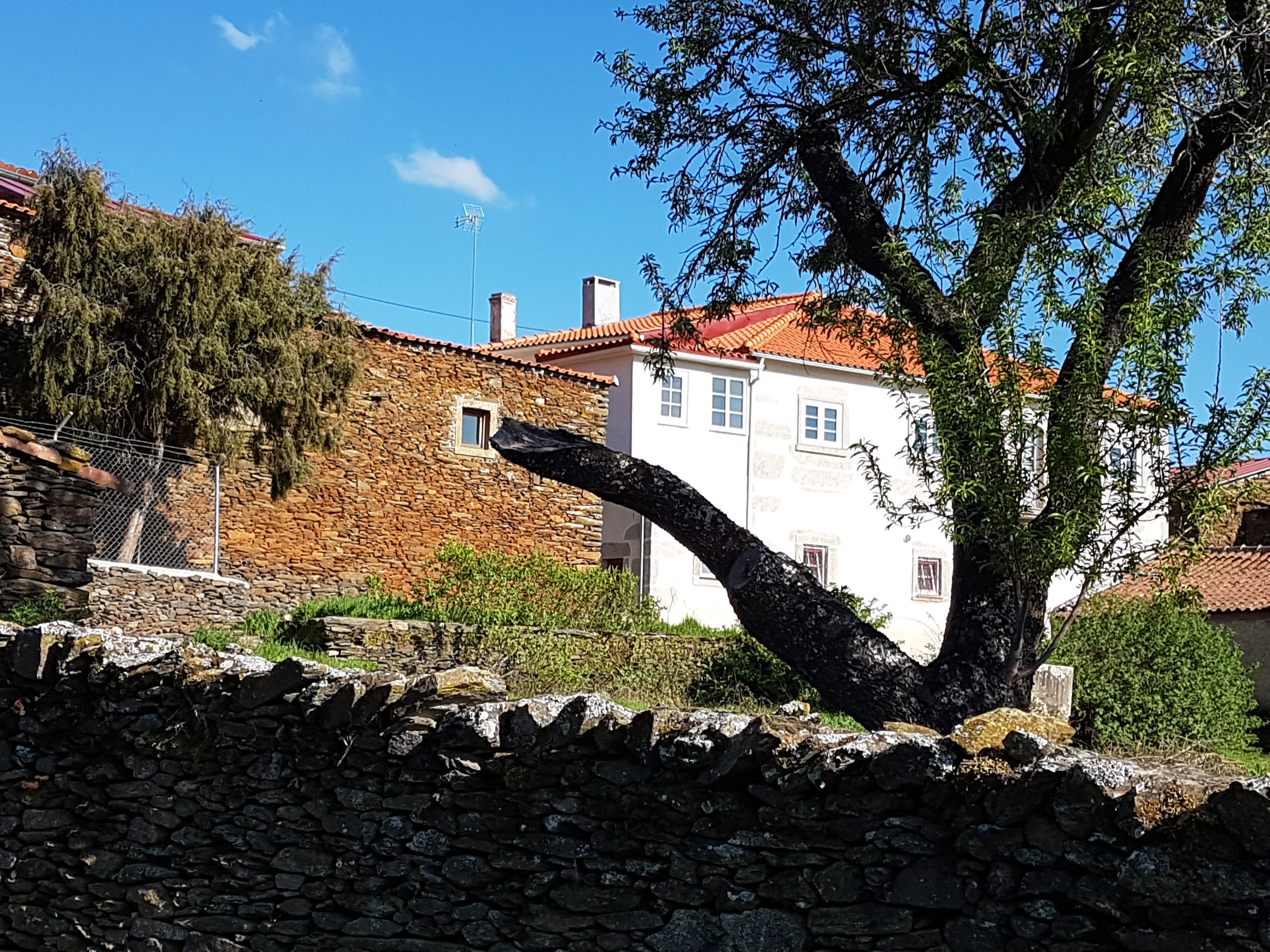 Casa dona Mª Rosa Steba - cópia