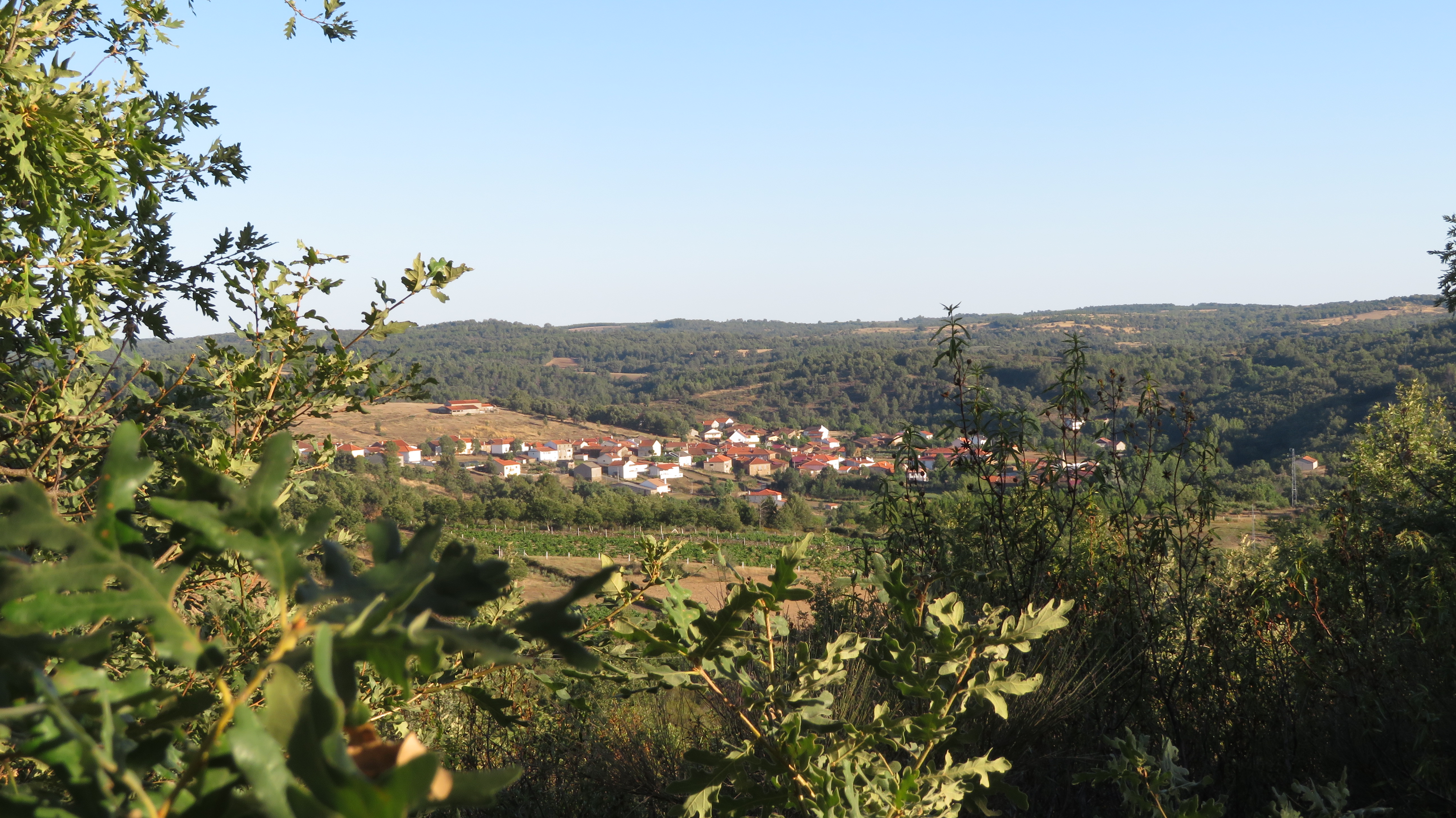 Angueira-vista da Quecolha-agº 2019-cópia